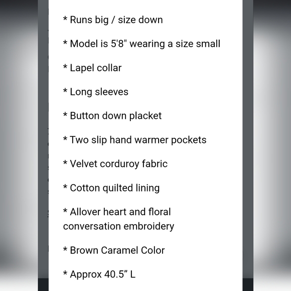 Adorable Embroidered Velvet Coat - Picture 5 of 7